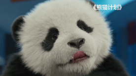 可怜枫
